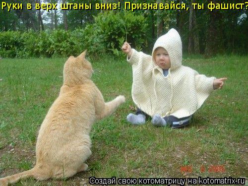 Руки в верх штаны вниз! Признавайся, ты фашист?... Котоматрица: Руки в верх штаны вниз! Признавайся, ты фашист?