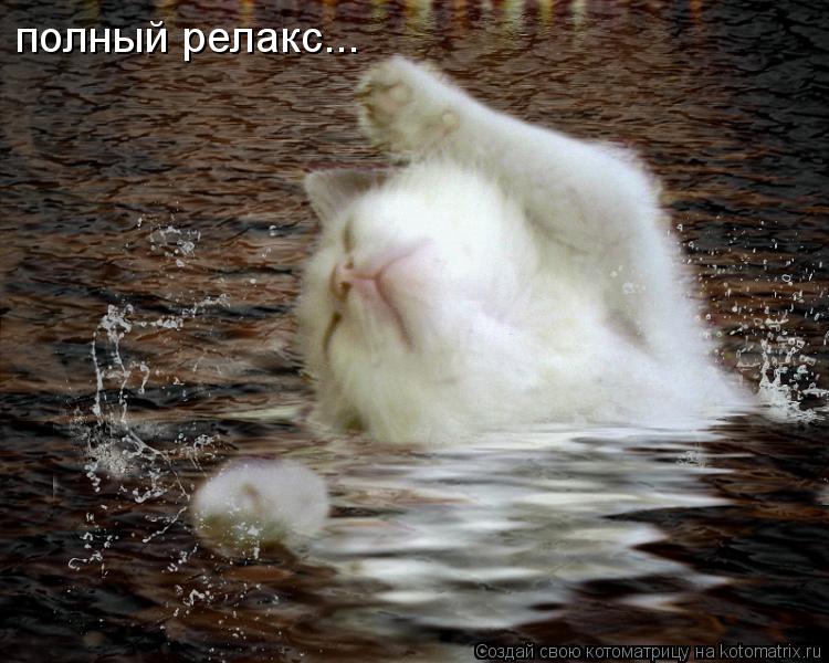полный релакс...... Котоматрица: полный релакс...