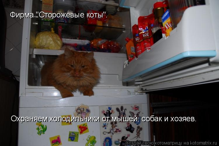Котоматрица: Фирма "Сторожевые коты". Охраняем холодильники от мышей, собак и хозяев.