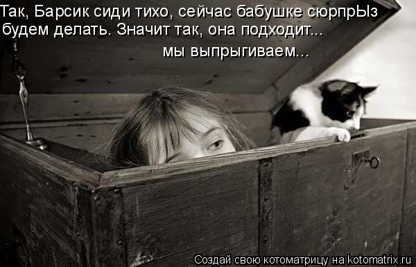 Так, Барсик сиди тихо, сейчас бабушке сюрпрЫз будем делать. Значит так, она подходит... мы выпрыгивае... Котоматрица: Так, Барсик сиди тихо, сейчас бабушке сюрпрЫз будем делать. Значит так, она подходит... мы выпрыгиваем...