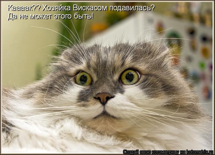 Каааак?? Хозяйка Вискасом подавилась? Да не может этого быть!... Котоматрица: Каааак?? Хозяйка Вискасом подавилась? Да не может этого быть!