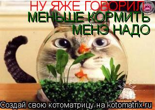 НУ ЯЖЕ ГОВОРИЛ МЕНЬШЕ КОРМИТЬ МЕНЭ НАДО... Котоматрица: НУ ЯЖЕ ГОВОРИЛ МЕНЬШЕ КОРМИТЬ МЕНЭ НАДО