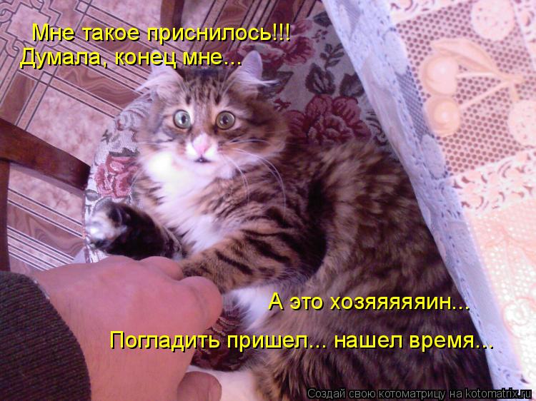 Мне такое приснилось!!! Думала, конец мне... А это хозяяяяяин... Погладить пришел... нашел время...... Котоматрица: Мне такое приснилось!!! Думала, конец мне... А это хозяяяяяин... Погладить пришел... нашел время...