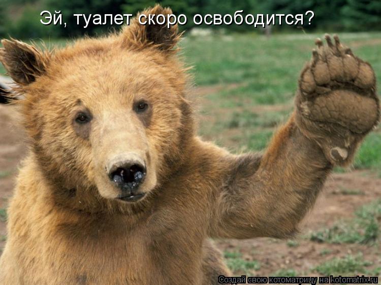 Эй, туалет скоро освободится?... Котоматрица: Эй, туалет скоро освободится?