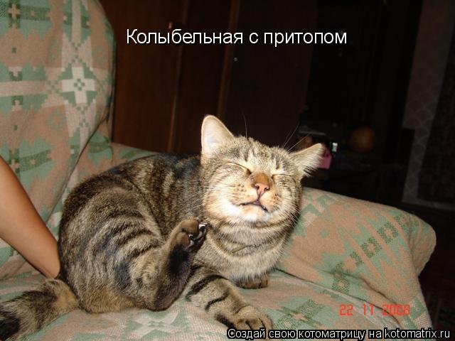 Колыбельная с притопом... Котоматрица: Колыбельная с притопом