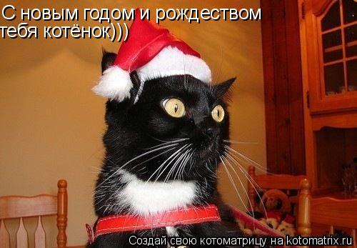 С новым годом и рождеством тебя котёнок)))... Котоматрица: С новым годом и рождеством тебя котёнок)))