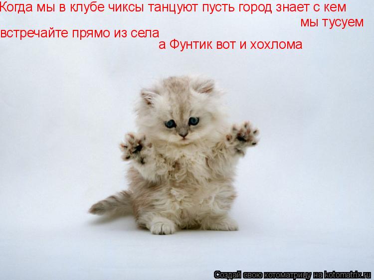Когда мы в клубе чиксы танцуют пусть город знает с кем мы тусуем встречайте прямо из села а Фунтик во... Котоматрица: Когда мы в клубе чиксы танцуют пусть город знает с кем мы тусуем встречайте прямо из села а Фунтик вот и хохлома