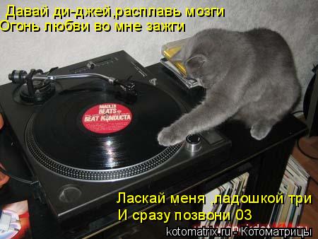 Котоматрица: Давай ди-джей,расплавь мозги Огонь любви во мне зажги Ласкай меня ,ладошкой три И сразу позвони 03