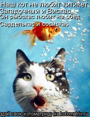 Наш кот не любит китикет Загадочный и Вискас Он рыбскас любит на обед Сарделькас и сосискас... Котоматрица: Наш кот не любит китикет Загадочный и Вискас Он рыбскас любит на обед Сарделькас и сосискас