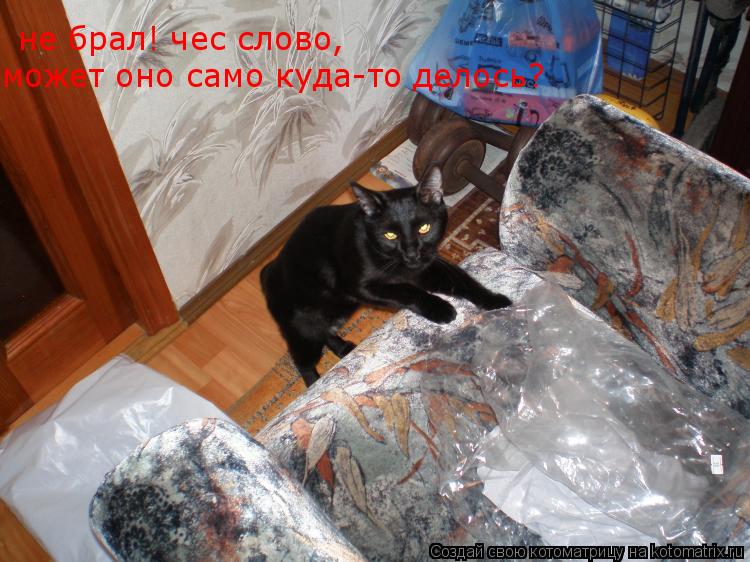 не брал! чес слово, может оно само куда-то делось?... Котоматрица: не брал! чес слово, может оно само куда-то делось?