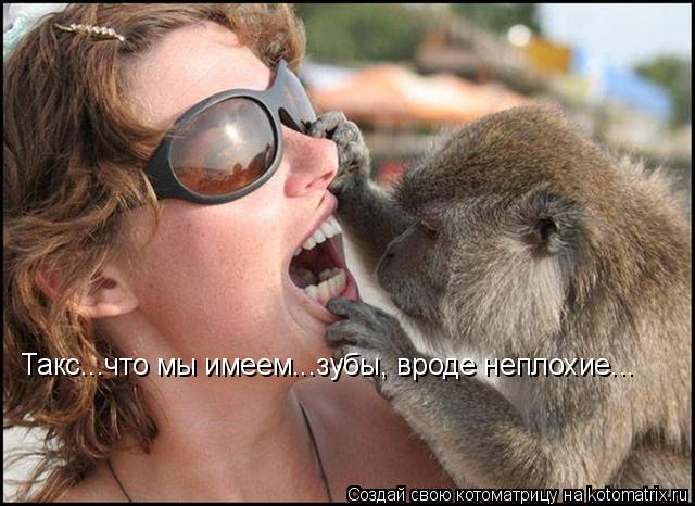 Котоматрица: Такс...что мы имеем...зубы, вроде неплохие...