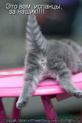 Это вам, испанцы, за наших!!!!... Котоматрица: Это вам, испанцы, за наших!!!!