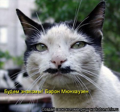 Котоматрица: Будем знакомы! Барон Мюнхаузен