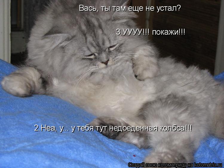 2.Неа, у... у тебя тут недоеденная колбса!!! Вась, ты там еще не устал? 3.УУУУ!!! покажи!!!... Котоматрица: 2.Неа, у... у тебя тут недоеденная колбса!!! Вась, ты там еще не устал? 3.УУУУ!!! покажи!!!