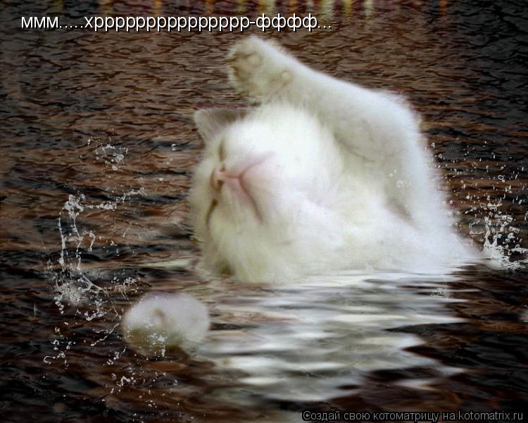 Котоматрица: ммм.....хррррррррррррррр-фффф...