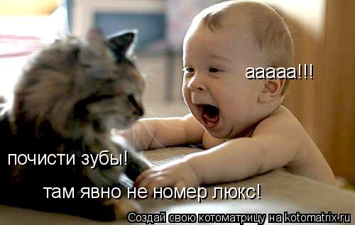 ааааа!!! почисти зубы! там явно не номер люкс!... Котоматрица: ааааа!!! почисти зубы! там явно не номер люкс!