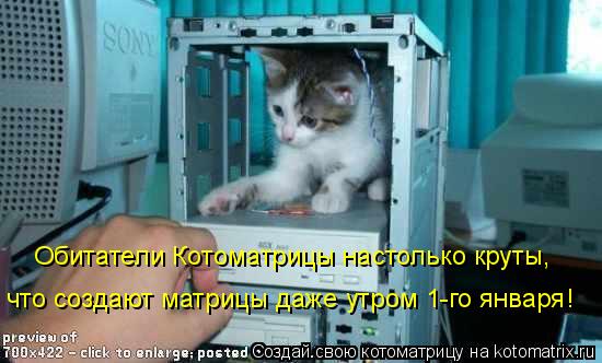 Обитатели Котоматрицы настолько круты, что создают матрицы даже утром 1-го января!... Котоматрица: Обитатели Котоматрицы настолько круты, что создают матрицы даже утром 1-го января!
