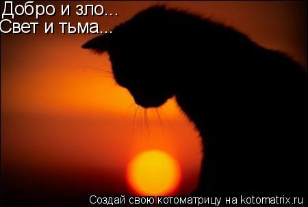 Добро и зло... Добро и зло... Свет и тьма...... Котоматрица: Добро и зло... Добро и зло... Свет и тьма...