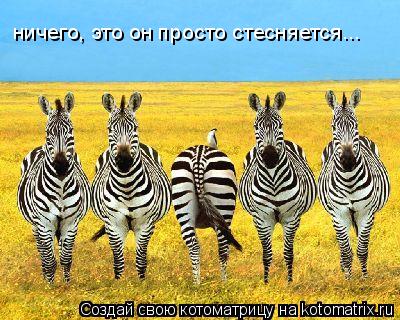 ничего, это он просто стесняется...... Котоматрица: ничего, это он просто стесняется...