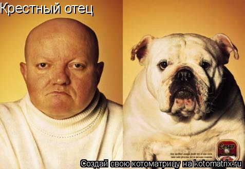 Крестный отец... Котоматрица: Крестный отец