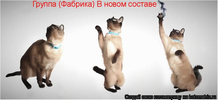 Котоматрица: Группа (Фабрика) В новом составе