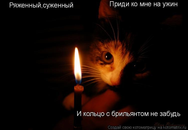 Ряженный,суженный Приди ко мне на ужин И кольцо с брильянтом не забудь... Котоматрица: Ряженный,суженный Приди ко мне на ужин И кольцо с брильянтом не забудь