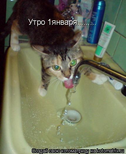 Утро 1января............ Котоматрица: Утро 1января.........