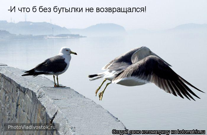 -И что б без бутылки не возвращался!... Котоматрица: -И что б без бутылки не возвращался!