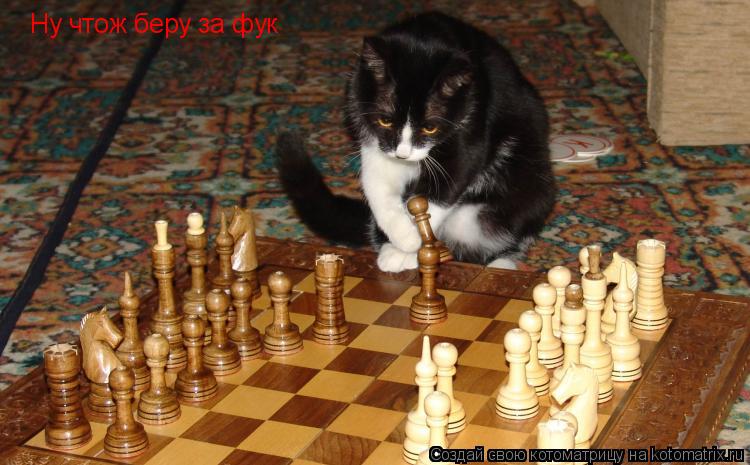 Ну чтож беру за фук... Котоматрица: Ну чтож беру за фук