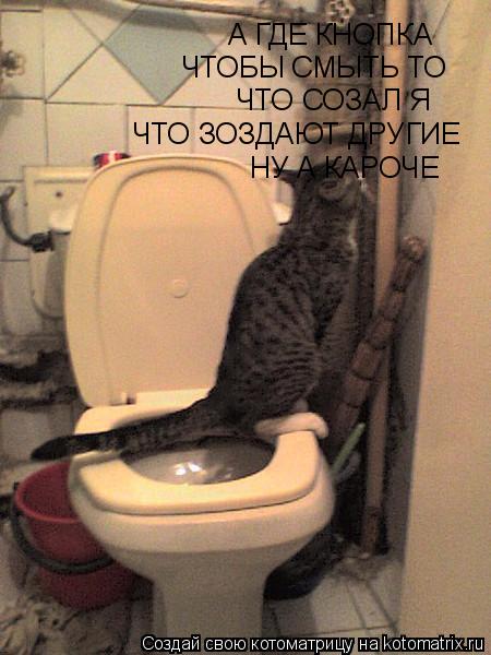 А ГДЕ КНОПКА ЧТОБЫ СМЫТЬ ТО ЧТО СОЗАЛ Я ЧТО ЗОЗДАЮТ ДРУГИЕ НУ А КАРОЧЕ... Котоматрица: А ГДЕ КНОПКА ЧТОБЫ СМЫТЬ ТО ЧТО СОЗАЛ Я ЧТО ЗОЗДАЮТ ДРУГИЕ НУ А КАРОЧЕ
