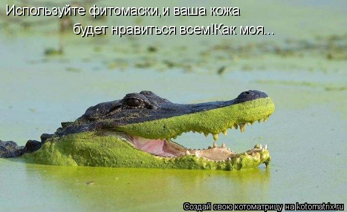 Используйте фитомаски,и ваша кожа будет нравиться всем!Как моя...... Котоматрица: Используйте фитомаски,и ваша кожа будет нравиться всем!Как моя...