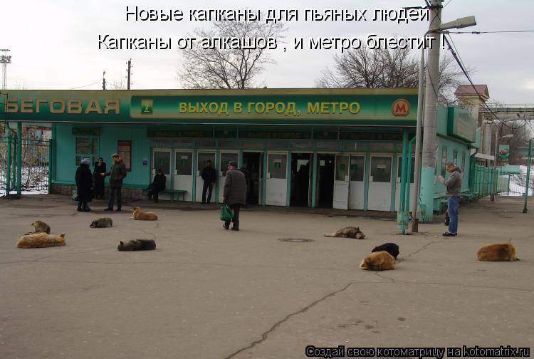 Новые капканы для пьяных людей Капканы от алкашов , и метро блестит !... Котоматрица: Новые капканы для пьяных людей Капканы от алкашов , и метро блестит !