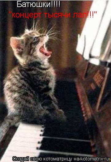 Батюшки!!!! "концерт тысячи лап!!!"... Котоматрица: Батюшки!!!! "концерт тысячи лап!!!"