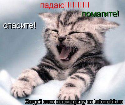 падаю!!!!!!!!!! спасите! помагите!... Котоматрица: падаю!!!!!!!!!! спасите! помагите!
