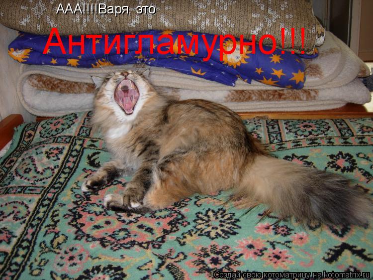 ААА!!!!Варя, это Антигламурно!!!... Котоматрица: ААА!!!!Варя, это Антигламурно!!!