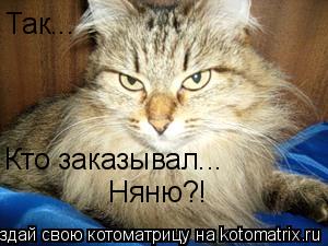 Котоматрица: Так... Кто заказывал... Няню?!
