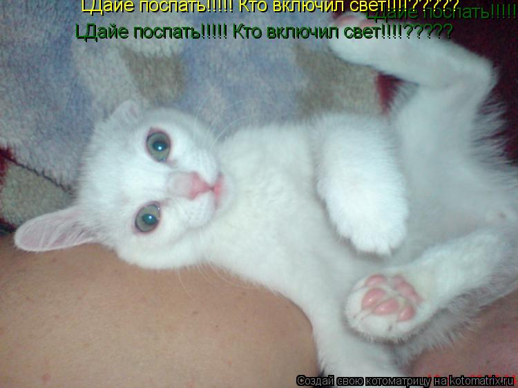 LДайе поспать!!! LДайе поспать!!! LДайе поспать!!!!! Кто включил свет!!!!????? LДайе поспать!!!!! Кто... Котоматрица: LДайе поспать!!! LДайе поспать!!! LДайе поспать!!!!! Кто включил свет!!!!????? LДайе поспать!!!!! Кто включил свет!!!!????? LДайе поспать!!!!! Кто вкл