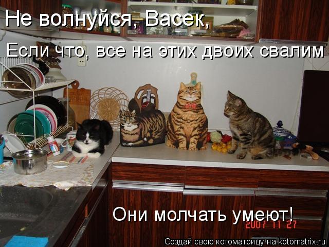 Не волнуйся, Васек, Если что, все на этих двоих свалим Они молчать умеют!... Котоматрица: Не волнуйся, Васек, Если что, все на этих двоих свалим Они молчать умеют!