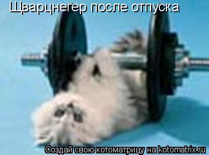 Щварцнегер после отпуска... Котоматрица: Щварцнегер после отпуска