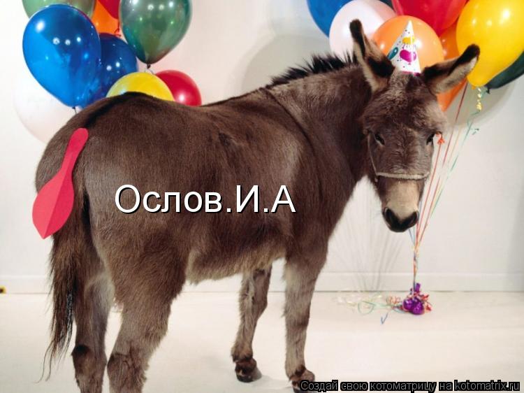 Ослов.И.А... Котоматрица: Ослов.И.А