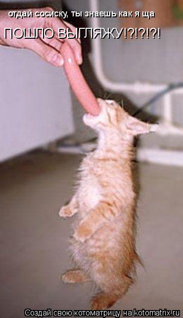 отдай сосиску, ты знаешь как я ща ПОШЛО ВЫГЛЯЖУ!?!?!?!... Котоматрица: отдай сосиску, ты знаешь как я ща ПОШЛО ВЫГЛЯЖУ!?!?!?!