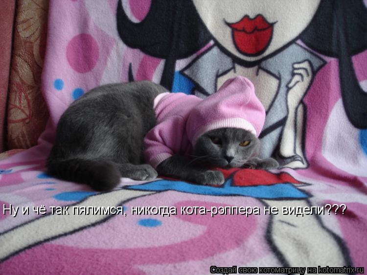 Котоматрица: Ну и чё так пялимся, никогда кота-рэппера не видели???