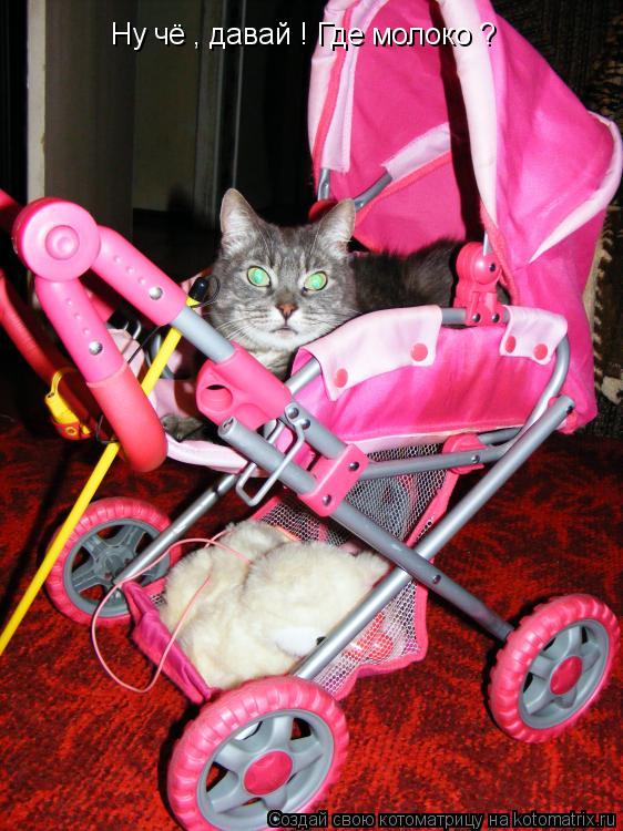 Ну чё , давай ! Где молоко ?... Котоматрица: Ну чё , давай ! Где молоко ?
