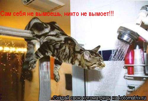 Сам себя не вымоешь, никто не вымоет!!!... Котоматрица: Сам себя не вымоешь, никто не вымоет!!!