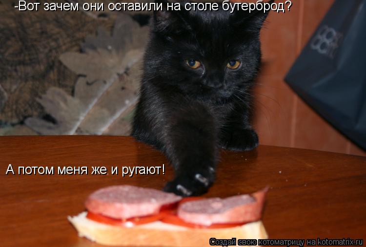 Котоматрица: -Вот зачем они оставили на столе бутерброд? А потом меня же и ругают!