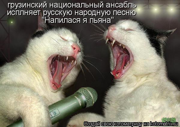 грузинский национальный ансабль исплняет русскую народную песню "Напилася я пьяна"... Котоматрица: грузинский национальный ансабль исплняет русскую народную песню "Напилася я пьяна"