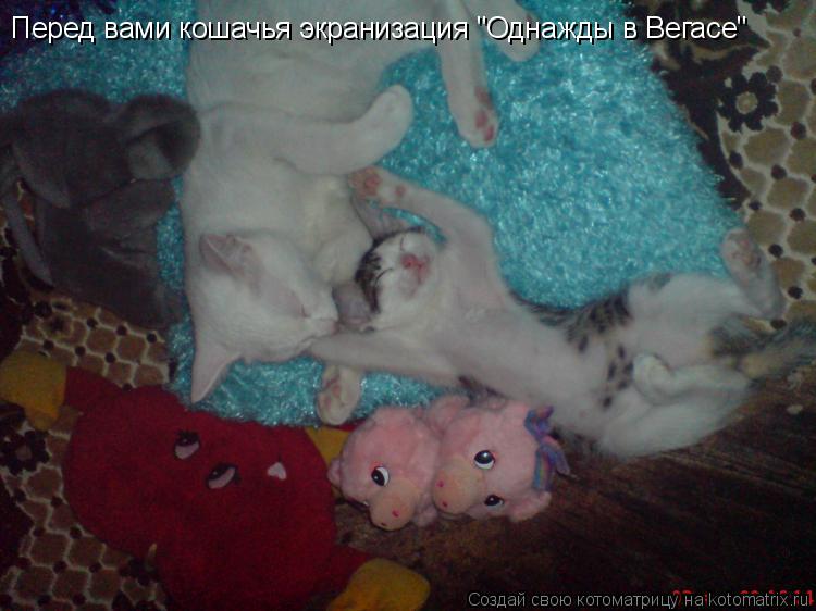 Перед вами кошачья экранизация "Однажды в Вегасе"... Котоматрица: Перед вами кошачья экранизация "Однажды в Вегасе"