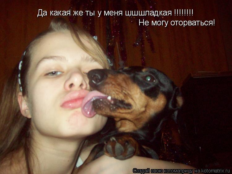 Да какая же ты у меня шшшладкая !!!!!!!! Не могу оторваться!... Котоматрица: Да какая же ты у меня шшшладкая !!!!!!!! Не могу оторваться!