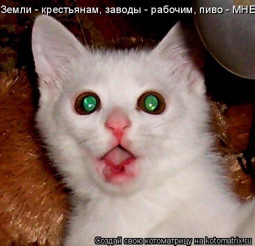 Земли - крестьянам, заводы - рабочим, пиво - МНЕ... Котоматрица: Земли - крестьянам, заводы - рабочим, пиво - МНЕ