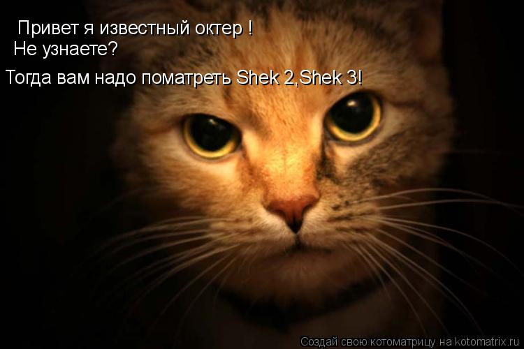 Привет я известный октер ! Не узнаете? Тогда вам надо поматреть Shek 2,Shek 3!... Котоматрица: Привет я известный октер ! Не узнаете? Тогда вам надо поматреть Shek 2,Shek 3!